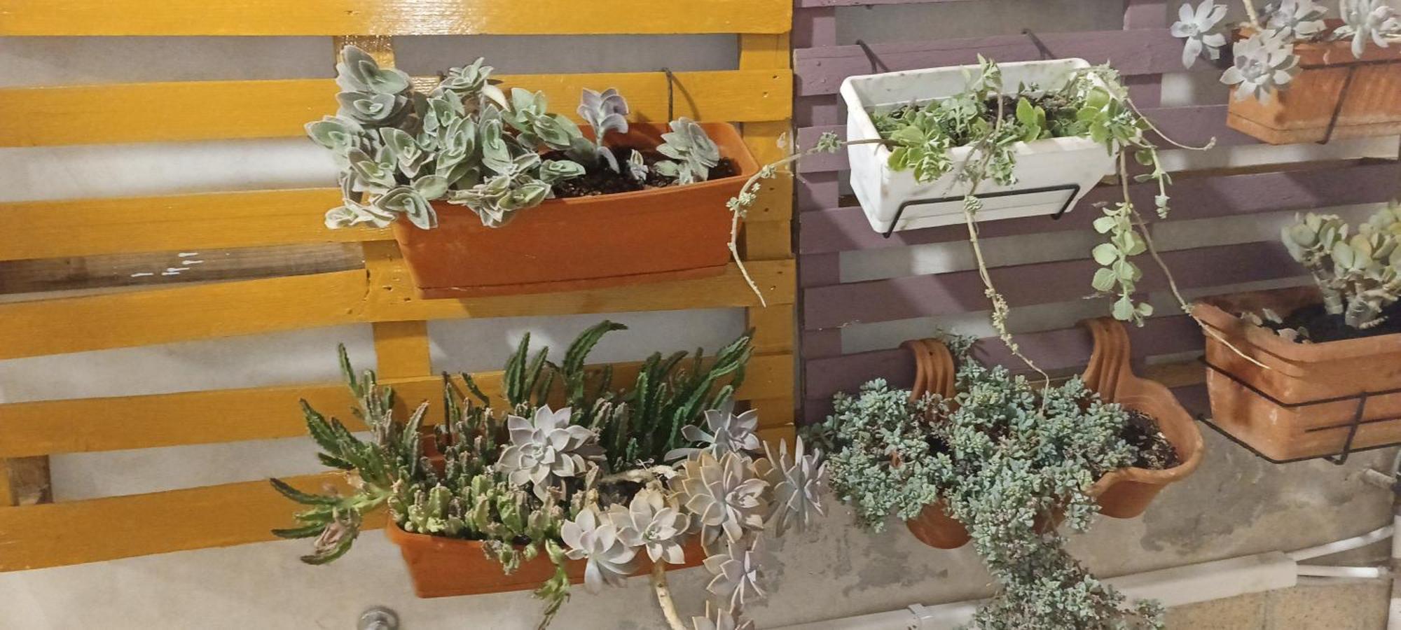 شقة Casa Ierone L'Etneo سيراكوزا المظهر الخارجي الصورة