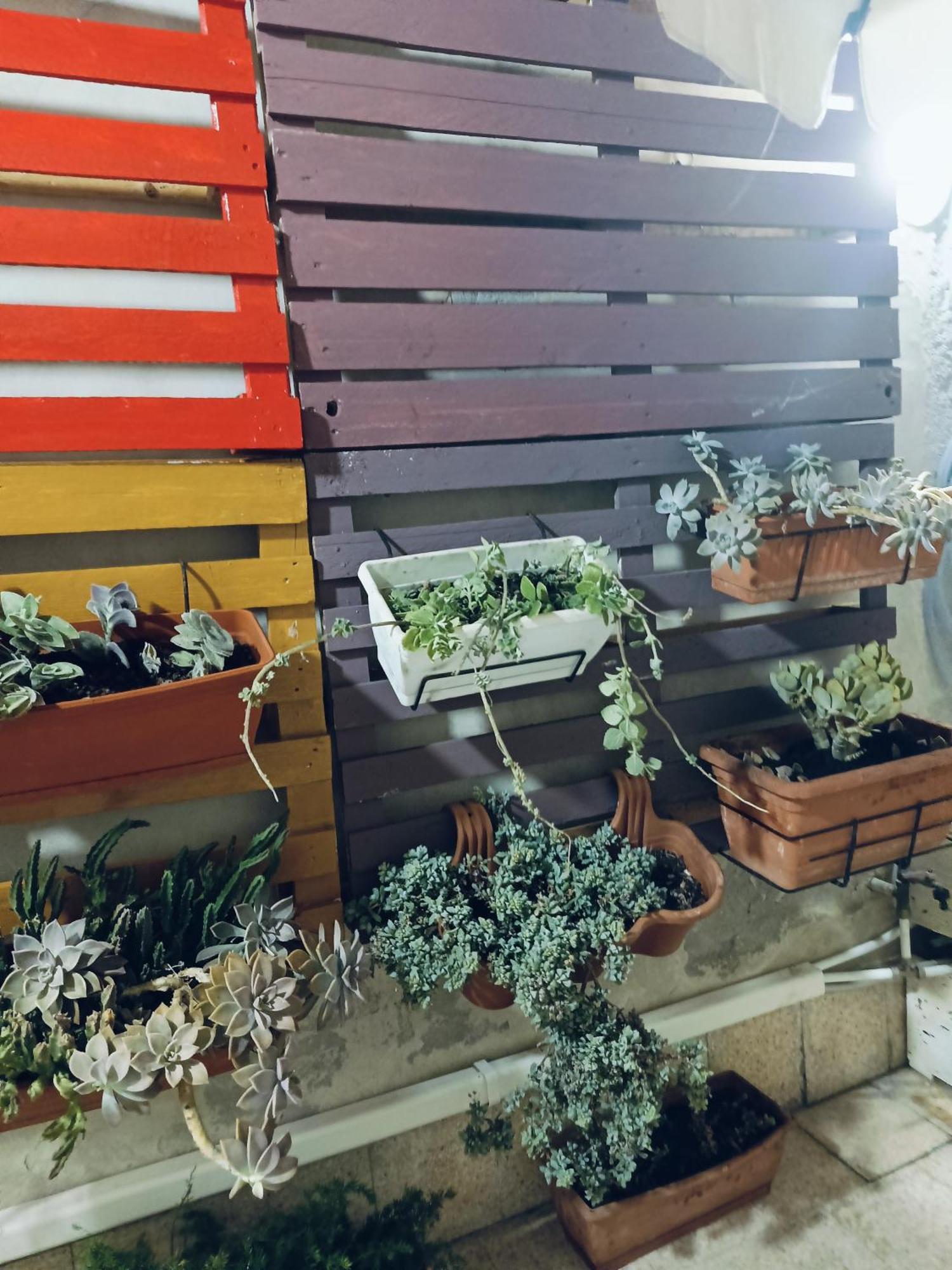 شقة Casa Ierone L'Etneo سيراكوزا المظهر الخارجي الصورة